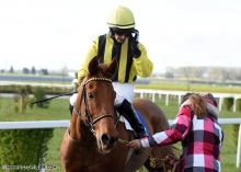 Heliostat(IRE)