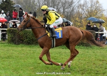 Heliostat(IRE)