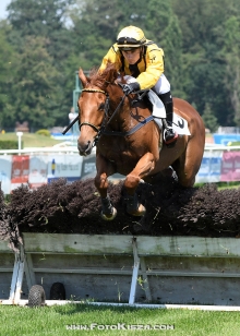 Heliostat(IRE)