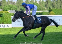 Black Bet(GB)