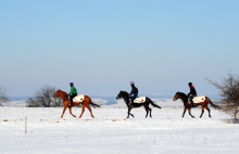 Urbi Et Orbi(GER), Black Betty a Thomas´ Celine