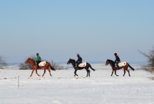 Urbi Et Orbi(GER), Black Betty a Thomas´ Celine