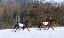 Thomas´ Celine a Black Betty