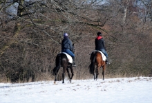 Thomas´ Celine a Black Betty