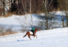 Urbi Et Orbi(GER)